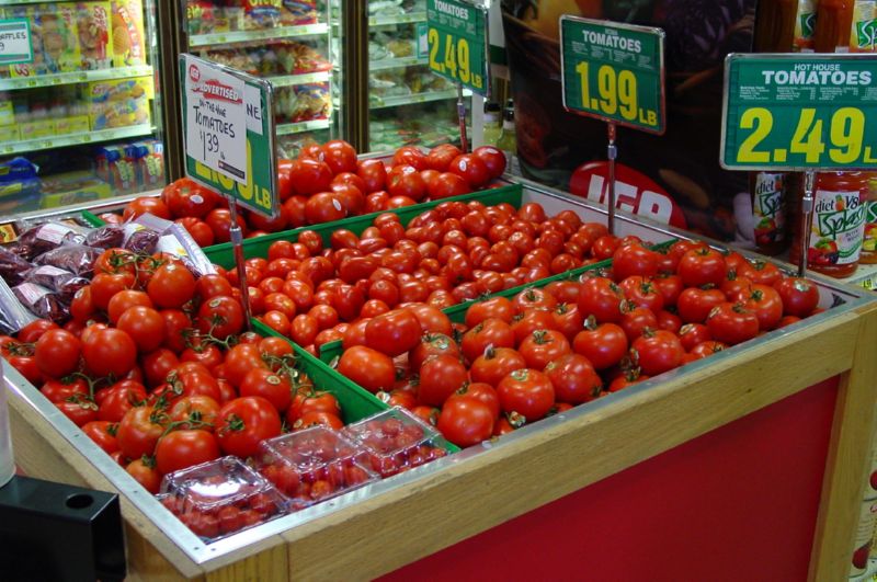 062404 Haines AK (10015)